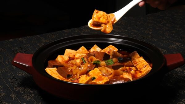 Close-up of a flavorful tofu dish with sauce in a traditional pot, perfect for a culinary experience.